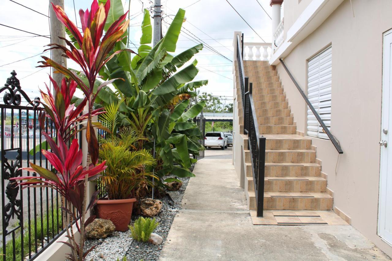 Discovery Beach Apartments Aguada Ngoại thất bức ảnh